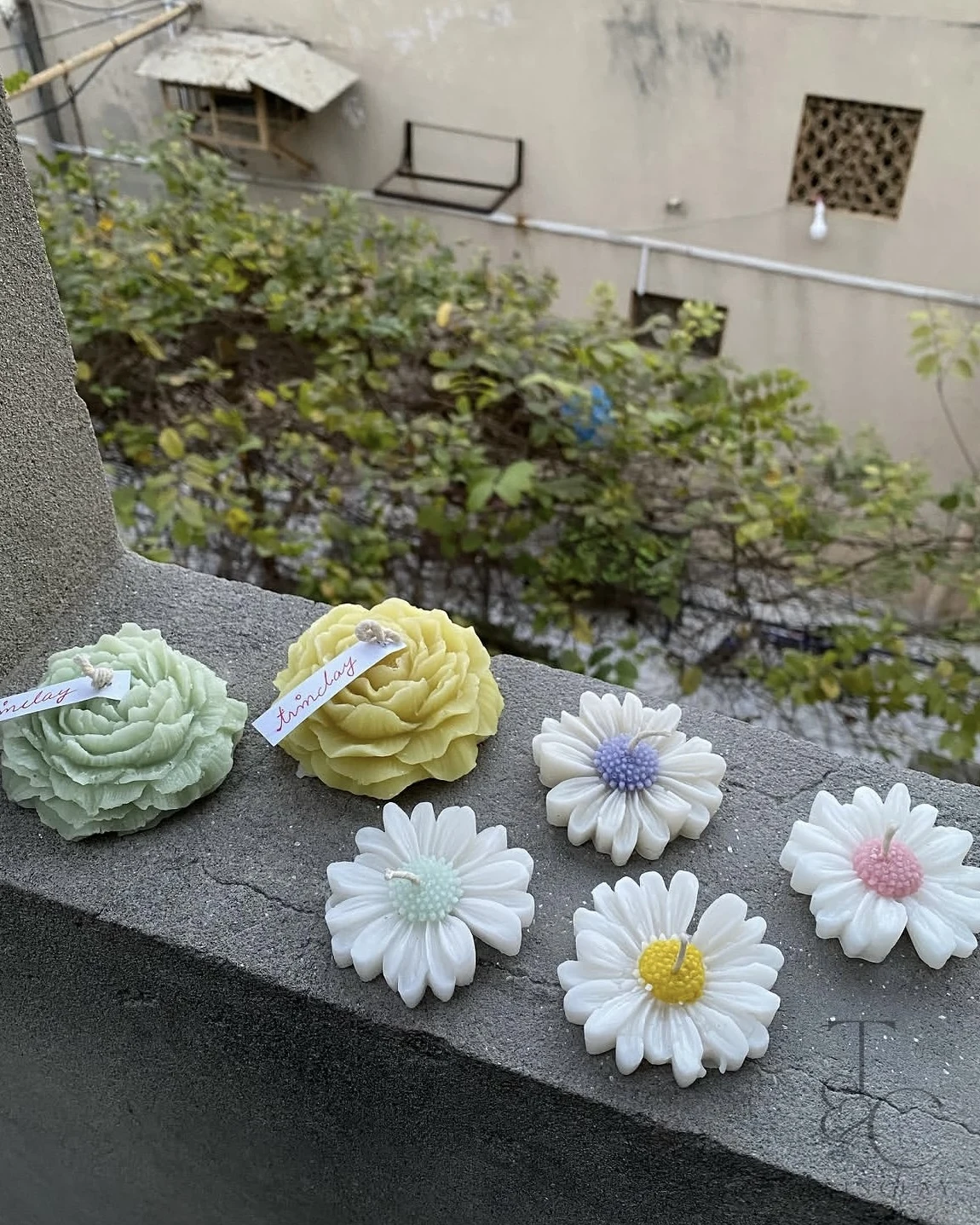 Candles